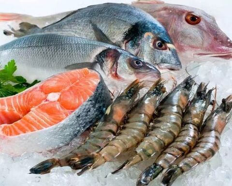 غذاهای دریایی برای تقویت