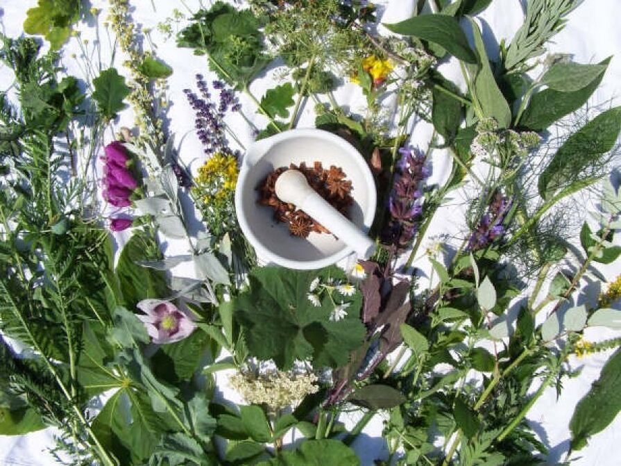 گیاهان برای قدرت